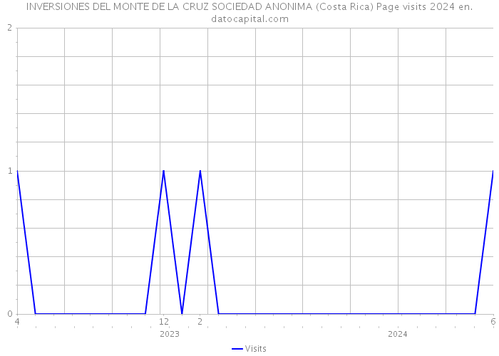 INVERSIONES DEL MONTE DE LA CRUZ SOCIEDAD ANONIMA (Costa Rica) Page visits 2024 
