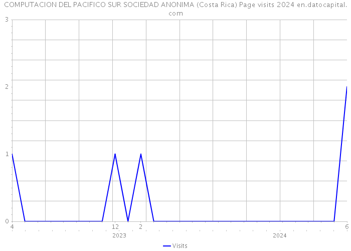 COMPUTACION DEL PACIFICO SUR SOCIEDAD ANONIMA (Costa Rica) Page visits 2024 