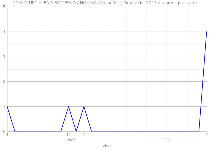 GCM GRUPO ALFAGI SOCIEDAD ANONIMA (Costa Rica) Page visits 2024 