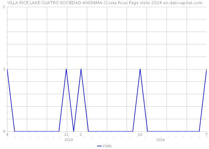 VILLA RICE LAKE CUATRO SOCIEDAD ANONIMA (Costa Rica) Page visits 2024 