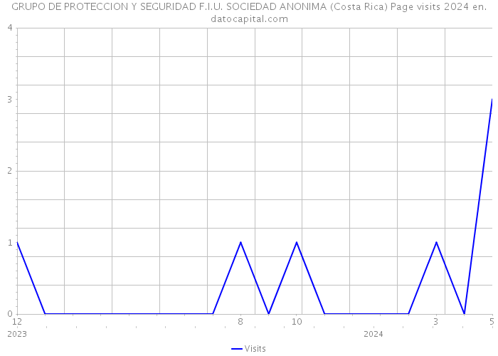 GRUPO DE PROTECCION Y SEGURIDAD F.I.U. SOCIEDAD ANONIMA (Costa Rica) Page visits 2024 
