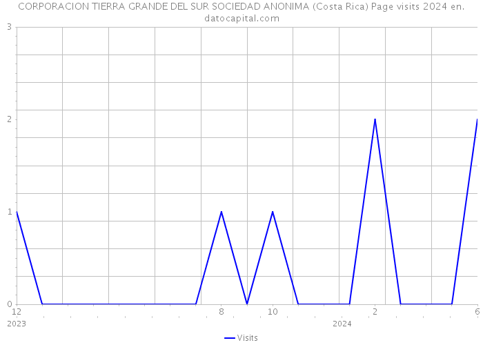 CORPORACION TIERRA GRANDE DEL SUR SOCIEDAD ANONIMA (Costa Rica) Page visits 2024 