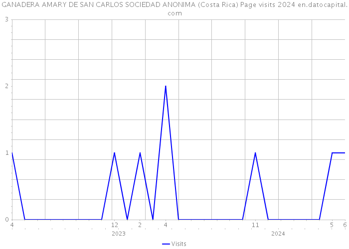 GANADERA AMARY DE SAN CARLOS SOCIEDAD ANONIMA (Costa Rica) Page visits 2024 