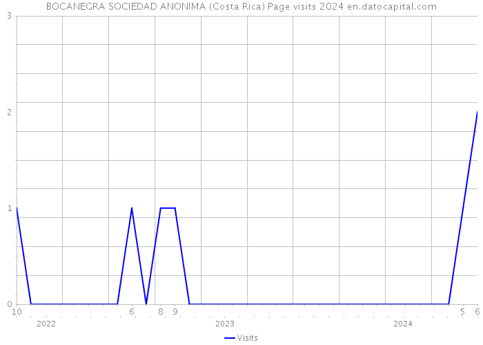 BOCANEGRA SOCIEDAD ANONIMA (Costa Rica) Page visits 2024 
