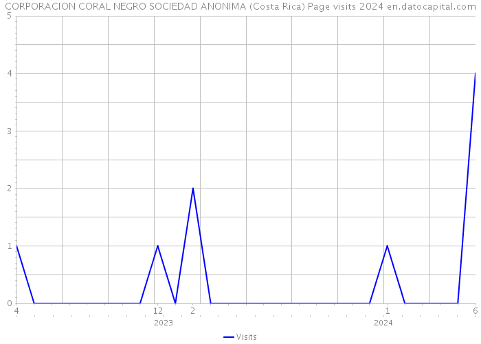 CORPORACION CORAL NEGRO SOCIEDAD ANONIMA (Costa Rica) Page visits 2024 