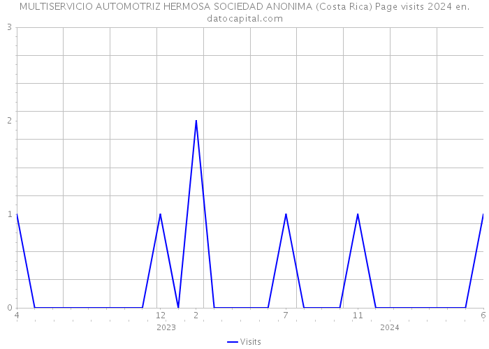 MULTISERVICIO AUTOMOTRIZ HERMOSA SOCIEDAD ANONIMA (Costa Rica) Page visits 2024 