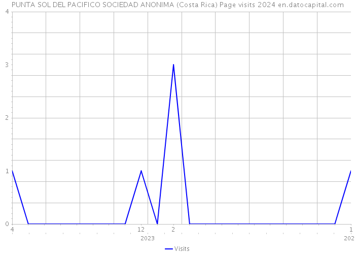 PUNTA SOL DEL PACIFICO SOCIEDAD ANONIMA (Costa Rica) Page visits 2024 