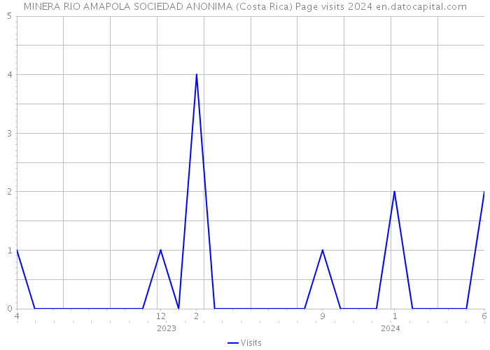 MINERA RIO AMAPOLA SOCIEDAD ANONIMA (Costa Rica) Page visits 2024 