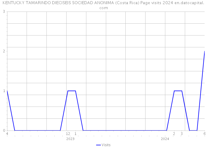 KENTUCKY TAMARINDO DIECISEIS SOCIEDAD ANONIMA (Costa Rica) Page visits 2024 
