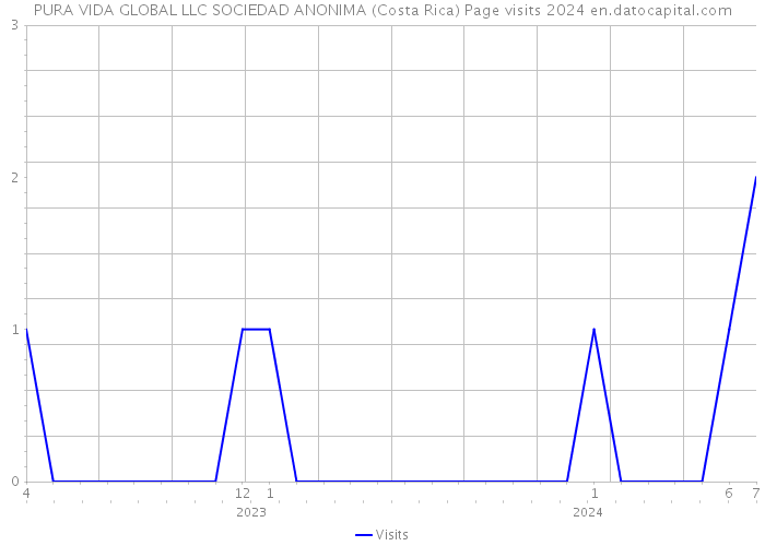 PURA VIDA GLOBAL LLC SOCIEDAD ANONIMA (Costa Rica) Page visits 2024 
