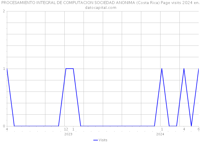 PROCESAMIENTO INTEGRAL DE COMPUTACION SOCIEDAD ANONIMA (Costa Rica) Page visits 2024 
