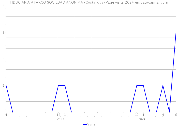 FIDUCIARIA AYARCO SOCIEDAD ANONIMA (Costa Rica) Page visits 2024 