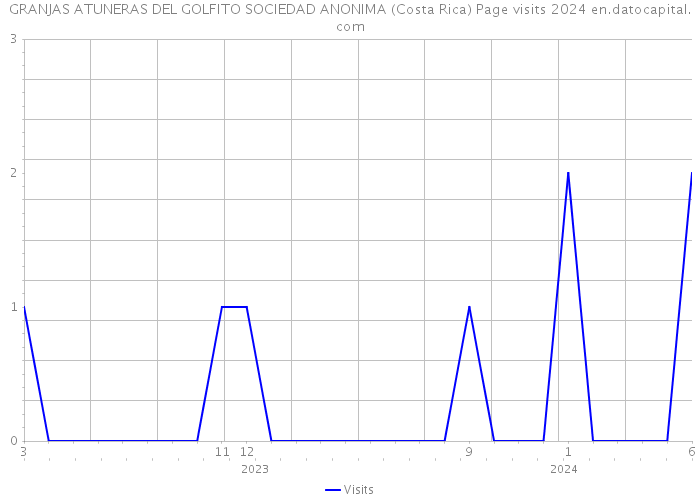 GRANJAS ATUNERAS DEL GOLFITO SOCIEDAD ANONIMA (Costa Rica) Page visits 2024 