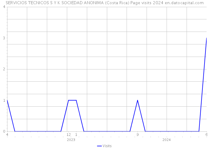 SERVICIOS TECNICOS S Y K SOCIEDAD ANONIMA (Costa Rica) Page visits 2024 