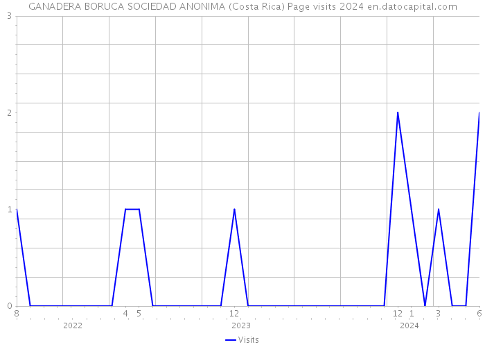 GANADERA BORUCA SOCIEDAD ANONIMA (Costa Rica) Page visits 2024 