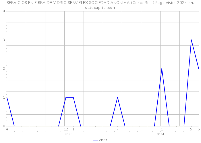 SERVICIOS EN FIBRA DE VIDRIO SERVIFLEX SOCIEDAD ANONIMA (Costa Rica) Page visits 2024 