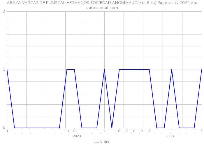ARAYA VARGAS DE PURISCAL HERMANOS SOCIEDAD ANONIMA (Costa Rica) Page visits 2024 