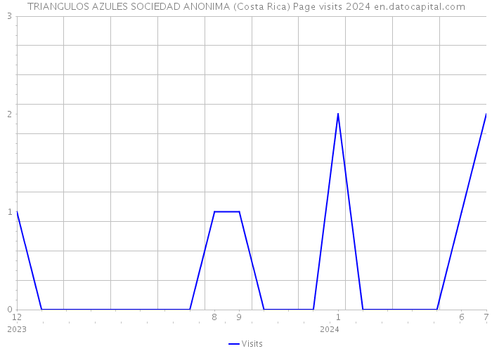 TRIANGULOS AZULES SOCIEDAD ANONIMA (Costa Rica) Page visits 2024 