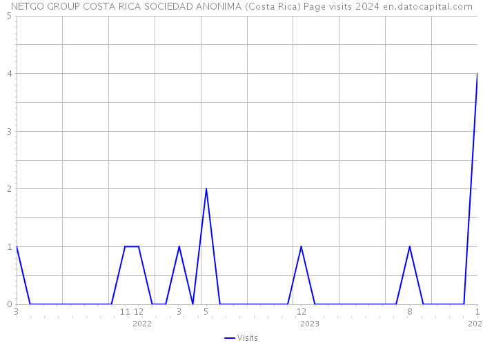 NETGO GROUP COSTA RICA SOCIEDAD ANONIMA (Costa Rica) Page visits 2024 