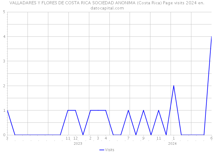 VALLADARES Y FLORES DE COSTA RICA SOCIEDAD ANONIMA (Costa Rica) Page visits 2024 