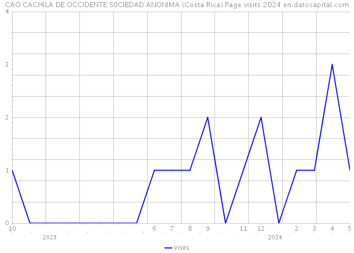 CAO CACHILA DE OCCIDENTE S0CIEDAD ANONIMA (Costa Rica) Page visits 2024 