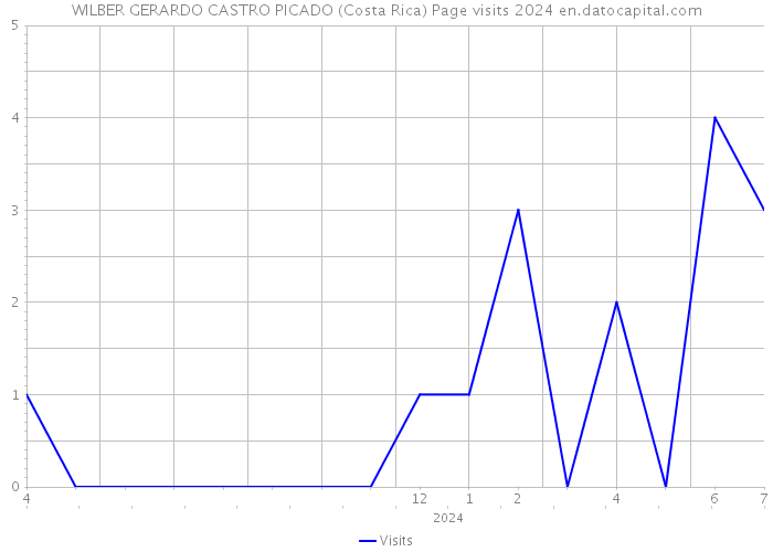 WILBER GERARDO CASTRO PICADO (Costa Rica) Page visits 2024 