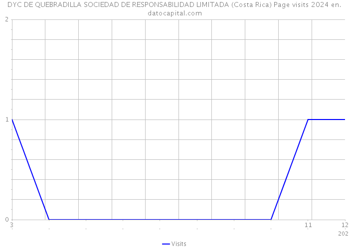 DYC DE QUEBRADILLA SOCIEDAD DE RESPONSABILIDAD LIMITADA (Costa Rica) Page visits 2024 