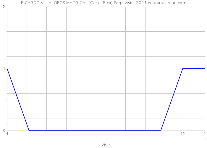 RICARDO VILLALOBOS MADRIGAL (Costa Rica) Page visits 2024 
