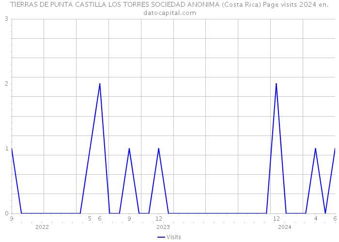 TIERRAS DE PUNTA CASTILLA LOS TORRES SOCIEDAD ANONIMA (Costa Rica) Page visits 2024 
