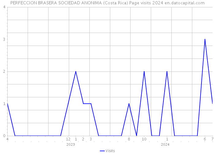 PERFECCION BRASERA SOCIEDAD ANONIMA (Costa Rica) Page visits 2024 