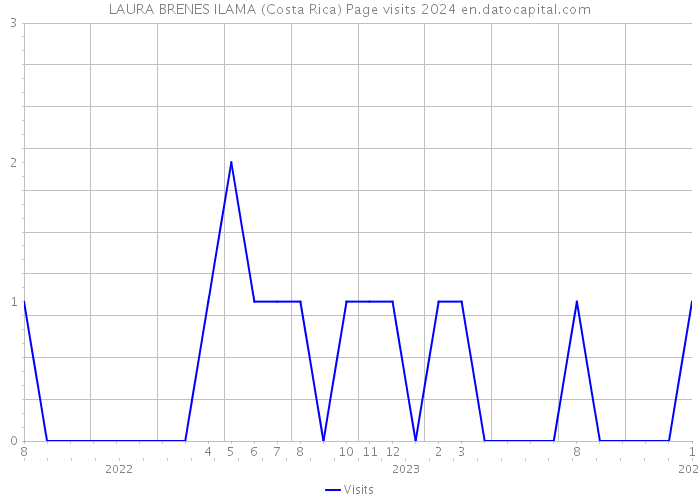 LAURA BRENES ILAMA (Costa Rica) Page visits 2024 