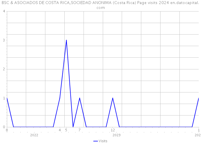 BSC & ASOCIADOS DE COSTA RICA,SOCIEDAD ANONIMA (Costa Rica) Page visits 2024 