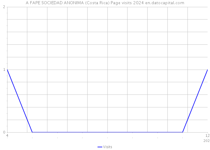 A FAPE SOCIEDAD ANONIMA (Costa Rica) Page visits 2024 