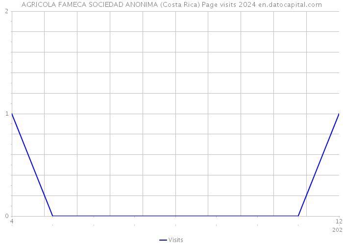 AGRICOLA FAMECA SOCIEDAD ANONIMA (Costa Rica) Page visits 2024 