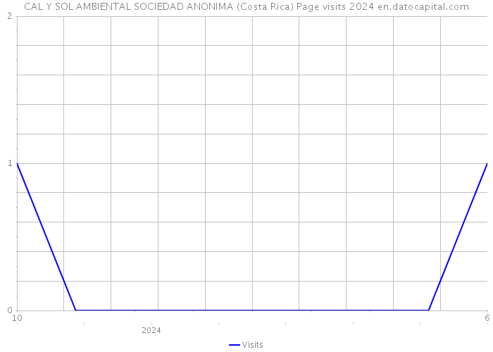CAL Y SOL AMBIENTAL SOCIEDAD ANONIMA (Costa Rica) Page visits 2024 
