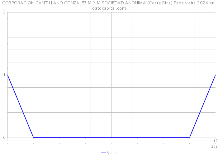 CORPORACION CANTILLANO GONZALEZ M Y M SOCIEDAD ANONIMA (Costa Rica) Page visits 2024 