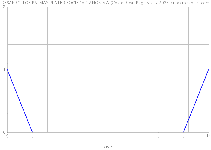 DESARROLLOS PALMAS PLATER SOCIEDAD ANONIMA (Costa Rica) Page visits 2024 