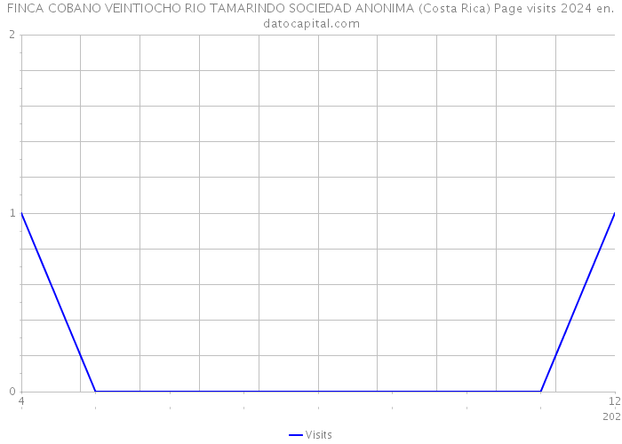FINCA COBANO VEINTIOCHO RIO TAMARINDO SOCIEDAD ANONIMA (Costa Rica) Page visits 2024 