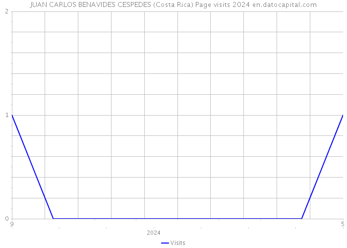 JUAN CARLOS BENAVIDES CESPEDES (Costa Rica) Page visits 2024 