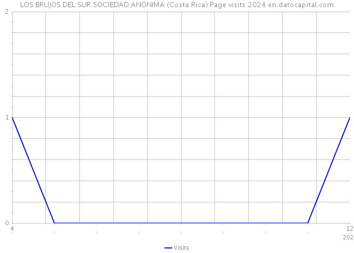 LOS BRUJOS DEL SUR SOCIEDAD ANONIMA (Costa Rica) Page visits 2024 