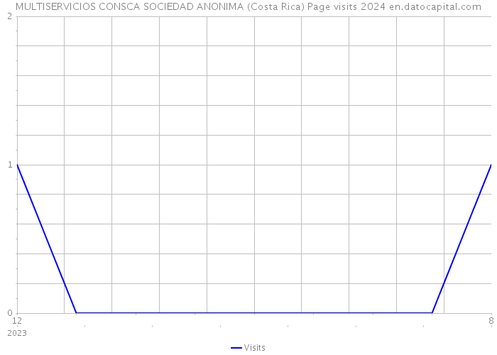 MULTISERVICIOS CONSCA SOCIEDAD ANONIMA (Costa Rica) Page visits 2024 