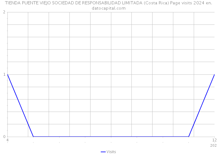 TIENDA PUENTE VIEJO SOCIEDAD DE RESPONSABILIDAD LIMITADA (Costa Rica) Page visits 2024 