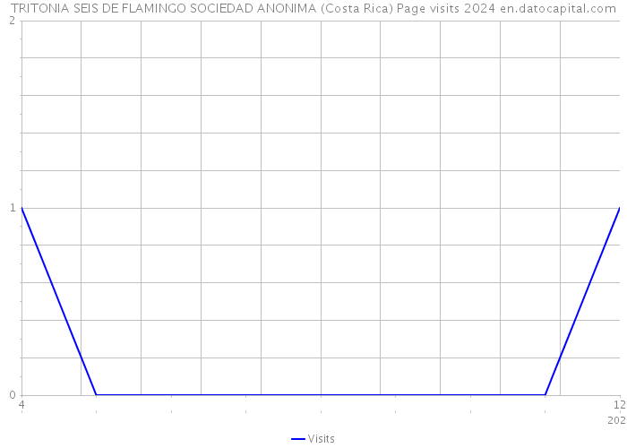 TRITONIA SEIS DE FLAMINGO SOCIEDAD ANONIMA (Costa Rica) Page visits 2024 