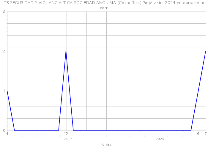 IITS SEGURIDAD Y VIGILANCIA TICA SOCIEDAD ANONIMA (Costa Rica) Page visits 2024 