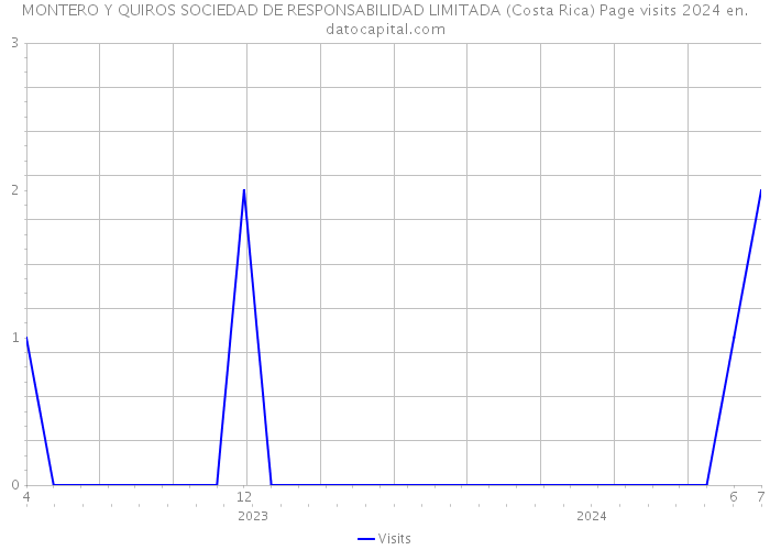 MONTERO Y QUIROS SOCIEDAD DE RESPONSABILIDAD LIMITADA (Costa Rica) Page visits 2024 