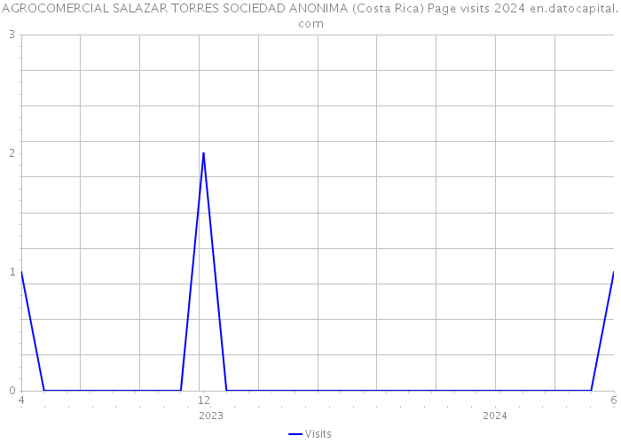 AGROCOMERCIAL SALAZAR TORRES SOCIEDAD ANONIMA (Costa Rica) Page visits 2024 