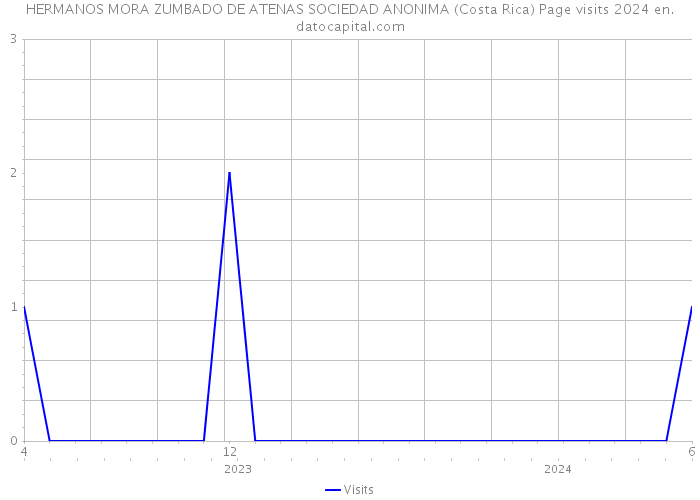 HERMANOS MORA ZUMBADO DE ATENAS SOCIEDAD ANONIMA (Costa Rica) Page visits 2024 