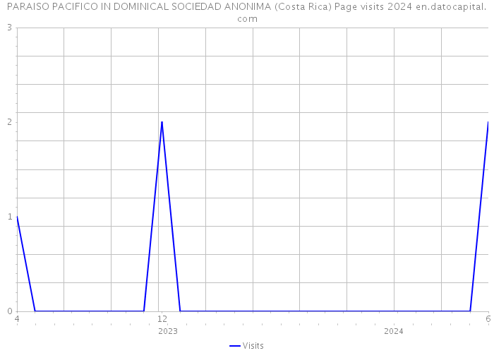 PARAISO PACIFICO IN DOMINICAL SOCIEDAD ANONIMA (Costa Rica) Page visits 2024 