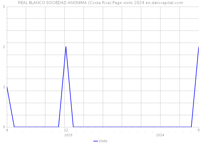REAL BLANCO SOCIEDAD ANONIMA (Costa Rica) Page visits 2024 