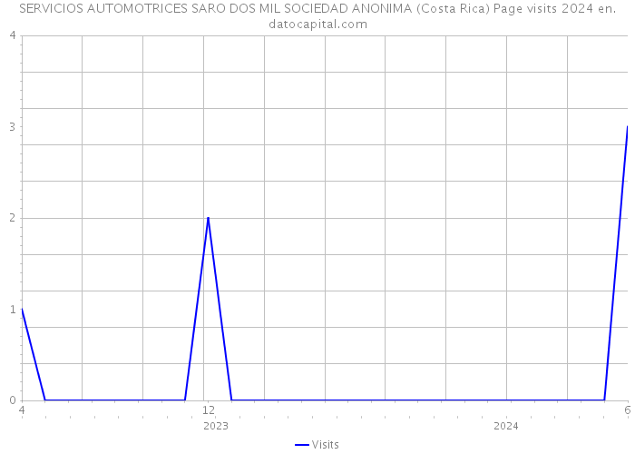 SERVICIOS AUTOMOTRICES SARO DOS MIL SOCIEDAD ANONIMA (Costa Rica) Page visits 2024 